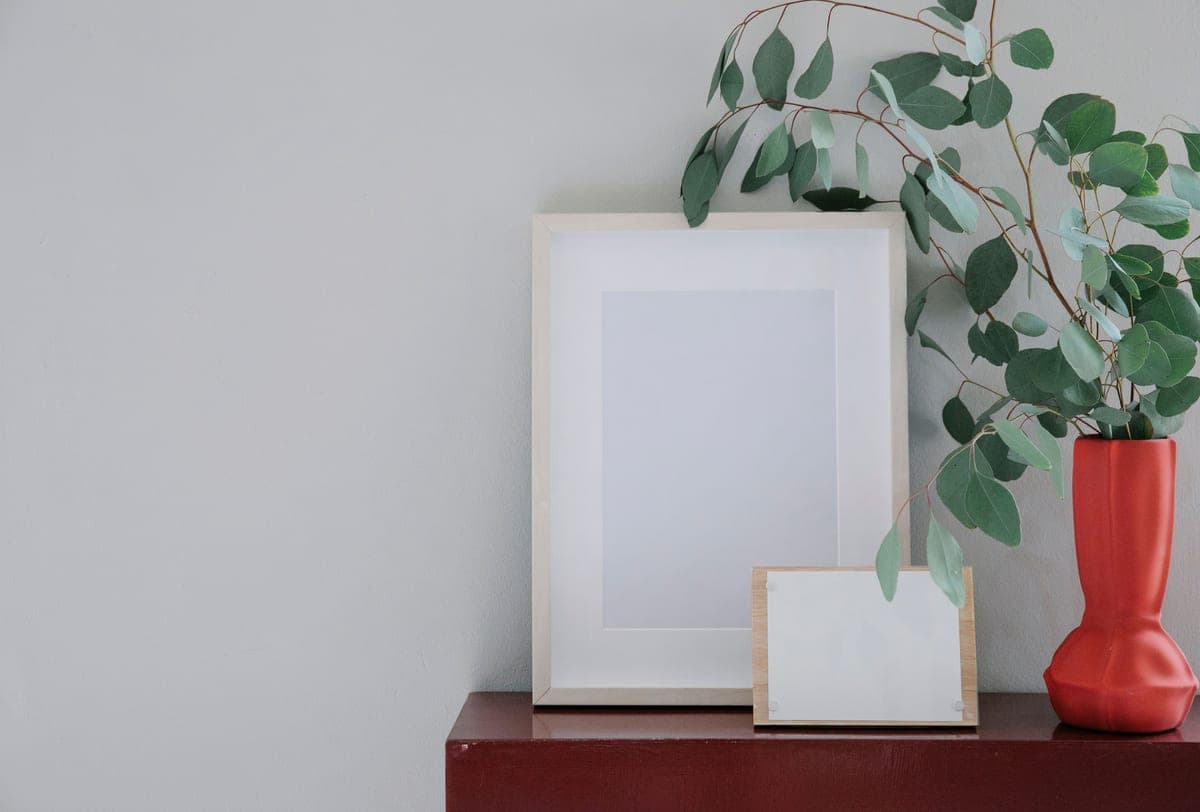 A picture frame standing on a shelf beside a plant